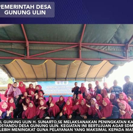 GUNA TINGKATKAN PELAYANAAN PEMERINTAH DESA GUNUNG ULIN ADAKAN PENINGKATAN KAPASITAS KADER DESA